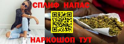 МДПВ Брянск
