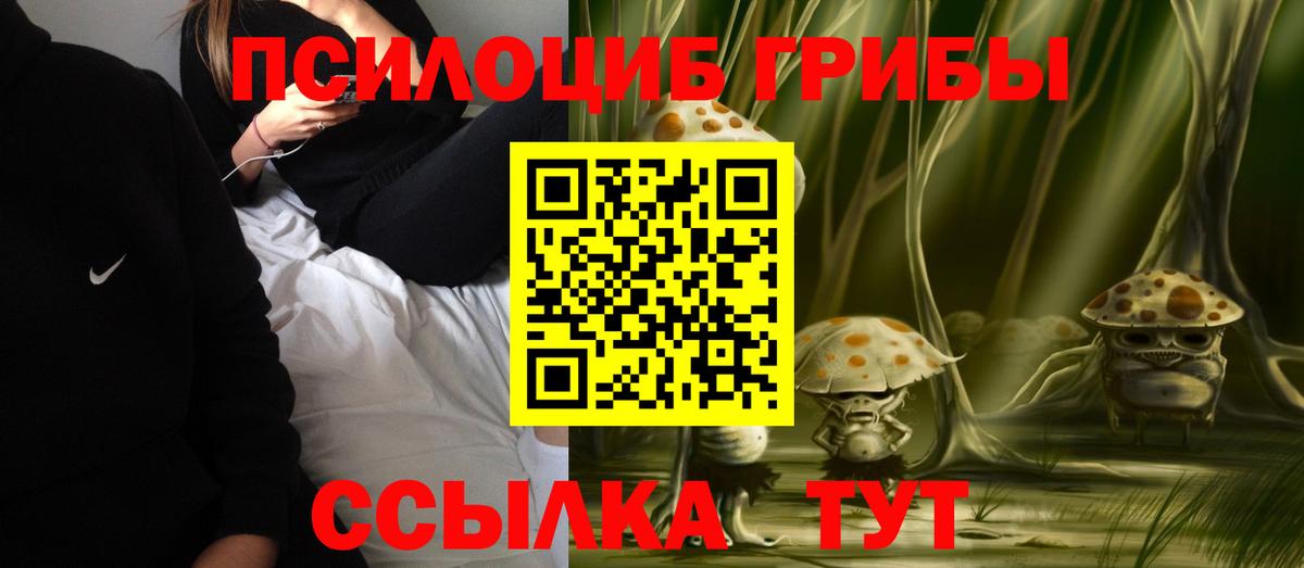 Галлюциногенные грибы ЛСД  Галлюциногенные грибы Psilocybine cubensis  Вход с VPN  Одинцово 