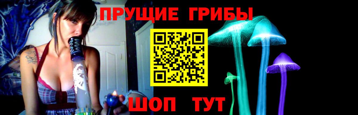 Галлюциногенные грибы Psilocybine cubensis Одинцово